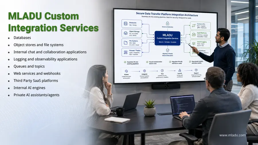 MLADU Custom Integration Services