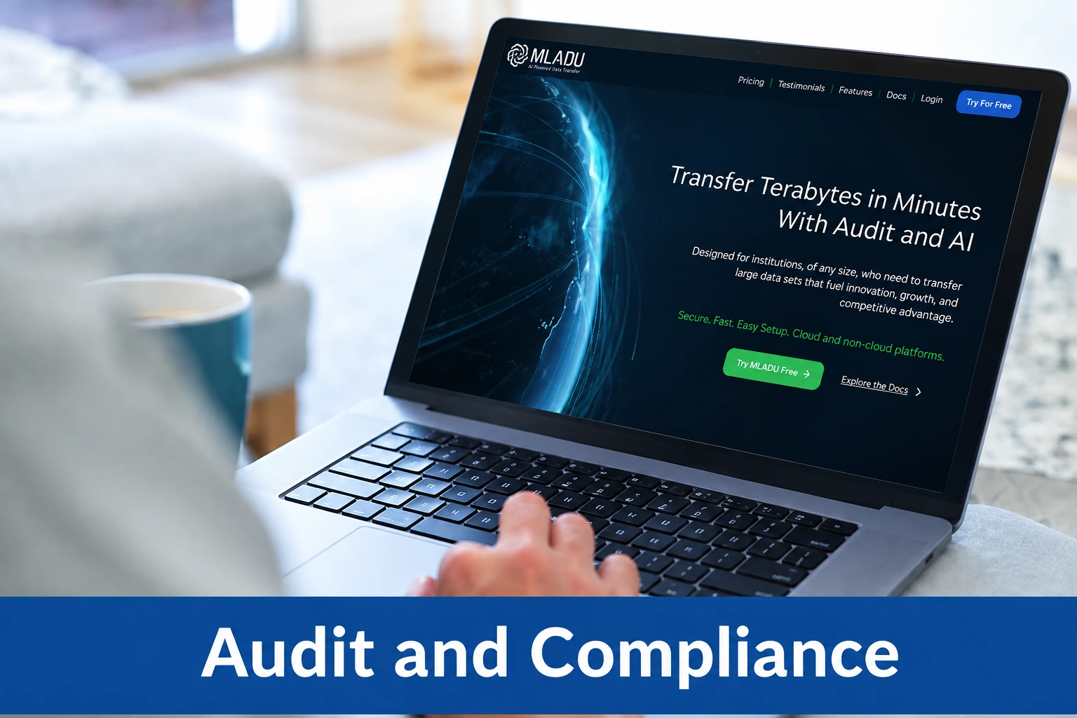 MLADU Audit and Compliance
